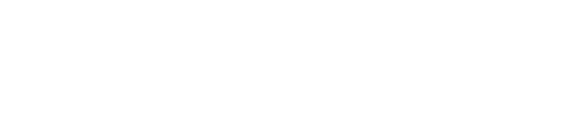 White check mark icon
