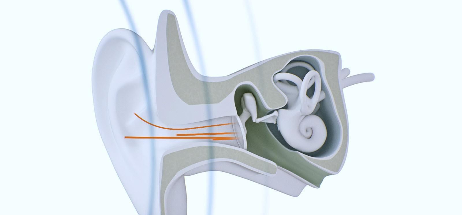 Ear anatomy video thumbnail.
