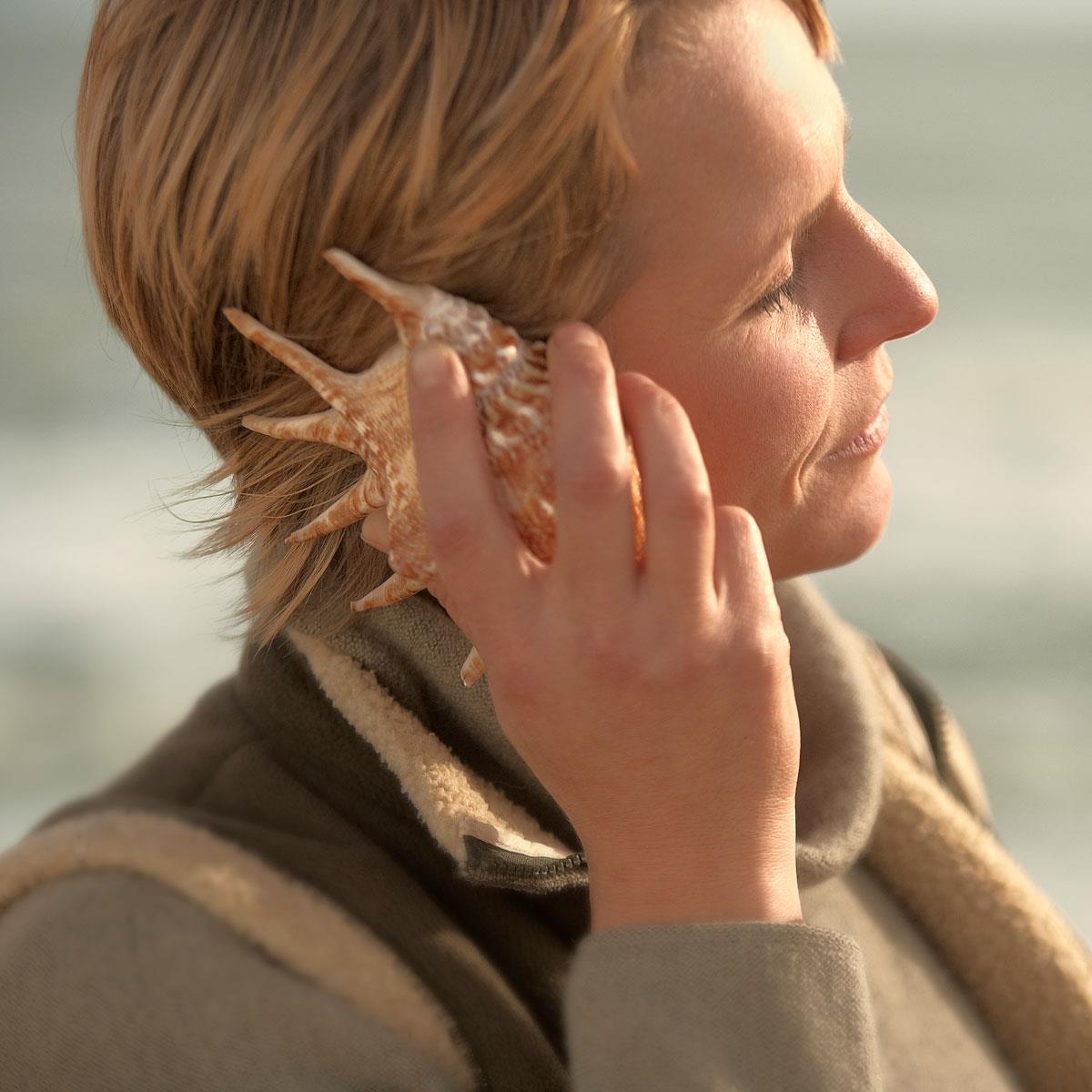 Organic hearing in a sea shell