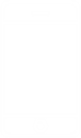 Smartphone icon