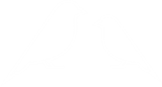 Icon showing two birds