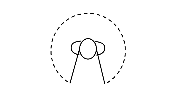 All Access Directionality icon