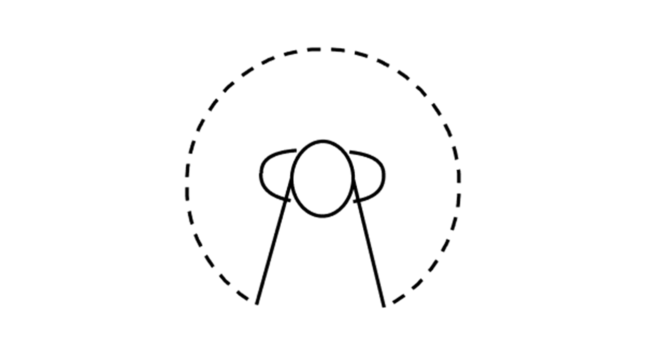All Access Directionality icon